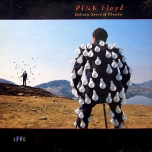 Pink Floyd | Delicate Sound Of Thunder 