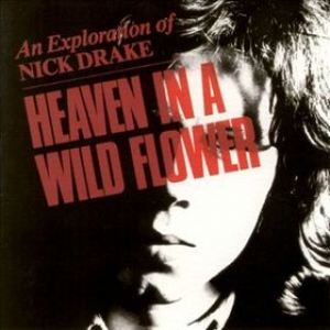 Drake Nick | Heaven In A Wild Flower 