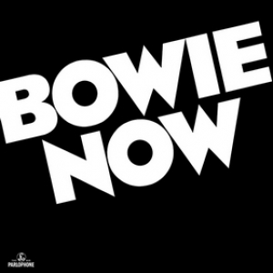 Bowie David | Now 