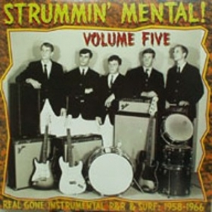 AA.VV. Garage | Strummin' Mental Volume 5