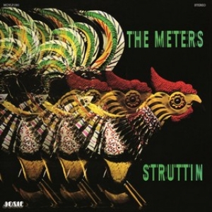 Meters | Struttin'