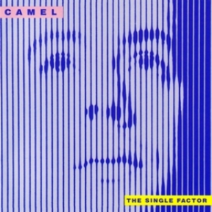 Camel | The Single Factory 