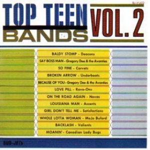 AA.VV.| Top Teen Band 2