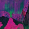 Dinosaur Jr.| Give A Glimpse Of What Yer Not 