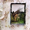 Led Zeppelin | IV - Remastered