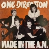 One Direction | Made In The A.M. 