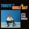 Wonder Stevie | Tribute To Uncle Ray