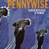 Pennywise | Unknown Road 