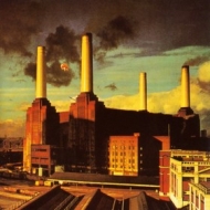 Pink Floyd | Animals