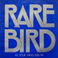 Rare Bird | As Your Mind Flies By 