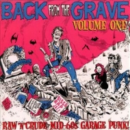 AA.VV. Back From The Grave| Back From The Grave Volume 01