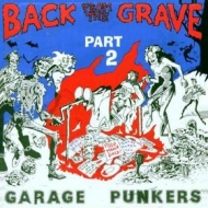 AA.VV. Back From The Grave| Back From The Grave Volume 02
