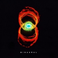 Pearl Jam | Binaural 