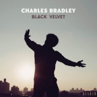 Bradley Charles | Black Velvet 