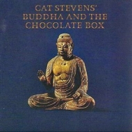 Stevens Cat| Buddha And The Chocolate Box