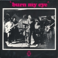 Radio Birdman| Burn My Eyes