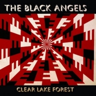 Black Angels| Clear Lake Forest 