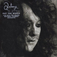 Antony And The Johnsons | Cut The World - Live With Danish National Chamber Orchestra