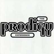 Prodigy | Experience 