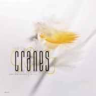 Cranes | John Peel Sessions 1989-1990