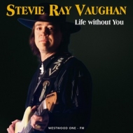 Vaughan Steve Ray| life without you