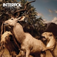 Interpol | Our Love To Admire 