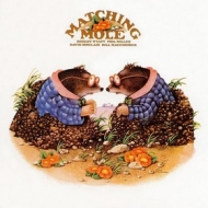 Matching Mole | Same 