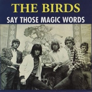 Birds| Say Those Magic Words 