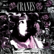 Cranes | Self-Non-Self