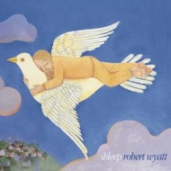 Wyatt Robert | Shleep 