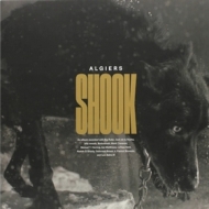 Algiers | Shook 