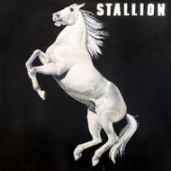 Stallion| Stallion