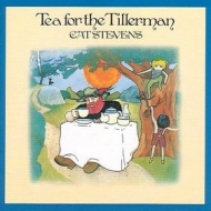 Stevens Cat| Tea For The Tillerman
