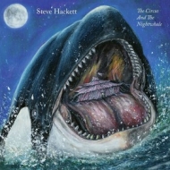 Hackett Steve | The Circus And The Nightwhale 