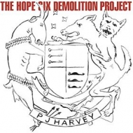 Harvey P J | The Hope Six Demolition Project        