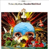 Chocolate WatchBand | The Inner Mystique 