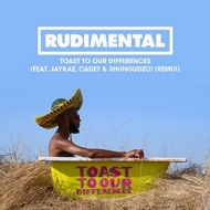 Rudimental | Toast To Our Differences 