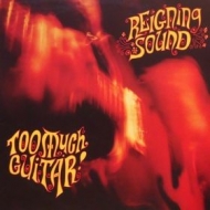 Reigning Sound | Too Much Guitar 