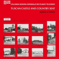 Teisco | Tuscan Castle And Country Seat 