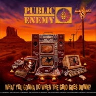 Public Enemy | What You Gonna Do When The Grid Goes Down?