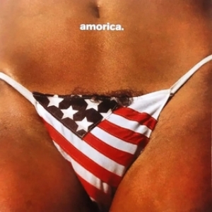 Black Crowes | Amorica 
