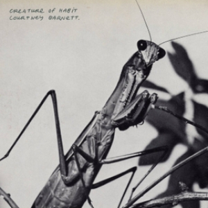 Barnett Courtney | Creature Of Habitat 