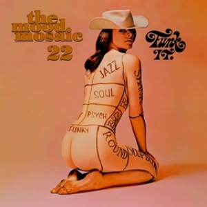 AA.VV. Mood| Mood Mosaic 22 - Funk It.