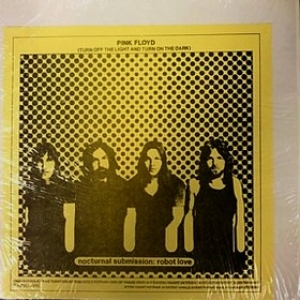 Pink Floyd | Nocturnal Submission: Robot Love 