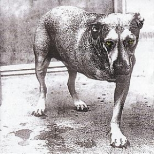 Alice In Chains | Same 