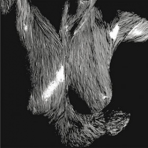 Oceansize | Self Preserved While The Bodies Float Up Songs