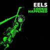 Eels | Cookie Happened 