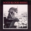 Current 93| Dogs Blood Rising 