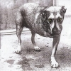 Alice In Chains | Same 