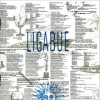 Ligabue | Same 